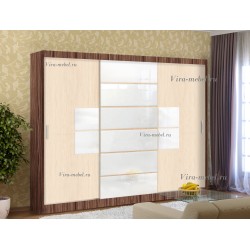 шкаф купе Эконом №21