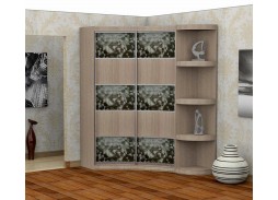 шкаф купе "Радион" радиусный