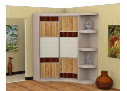 шкаф купе "Радион" радиусный