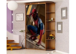 Шкаф купе с фотопечатью "Миллениум Ф 2,2" 14 600 Р. в Вира Мебель Шкаф купе с фотопечатью "Миллениум Ф 2,2"