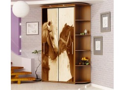 Шкаф купе с фотопечатью "Миллениум Ф 16" 14 600 Р. в Вира Мебель Шкаф купе с фотопечатью "Миллениум Ф 16"