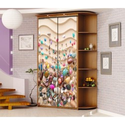 Шкаф купе с фотопечатью Миллениум Ф 18