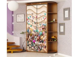 Шкаф купе с фотопечатью "Миллениум Ф 18" 14 600 Р. в Вира Мебель Шкаф купе с фотопечатью "Миллениум Ф 18"