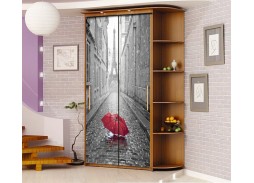 Шкаф купе с фотопечатью "Миллениум Ф 19" 14 600 Р. в Вира Мебель Шкаф купе с фотопечатью "Миллениум Ф 19"