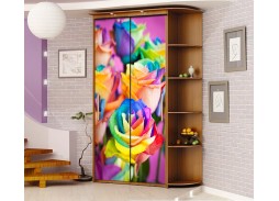 Шкаф купе с фотопечатью "Миллениум Ф 20" 14 600 Р. в Вира Мебель Шкаф купе с фотопечатью "Миллениум Ф 20"