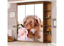 Шкаф купе с фотопечатью "Миллениум Ф-3,3" 21 800 Р. в Вира Мебель Шкаф купе с фотопечатью "Миллениум Ф-3,3"