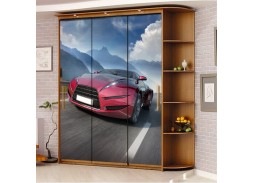 Шкаф купе с фотопечатью "Миллениум Ф-3,5" 21 800 Р. в Вира Мебель Шкаф купе с фотопечатью "Миллениум Ф-3,5"