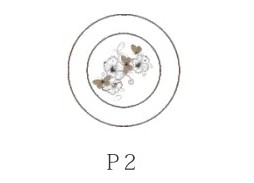 Журнальный стол с рисунком СЖ-24Р2 ф-ка Бител