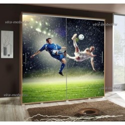 Иллюзия 6 шкаф купе с фотопечатью