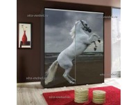 Иллюзия 16 шкаф купе с фотопечатью