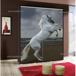 Иллюзия 16 шкаф купе с фотопечатью