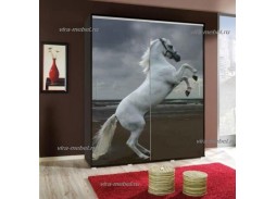 "Иллюзия 16" шкаф купе с фотопечатью 