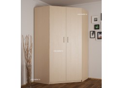 "Эконом 20" классический распашной угловой шкаф 