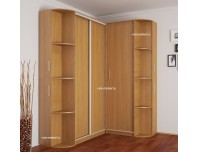 Эконом 10 угловой шкаф-купе