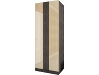 Виго 5 глянцевый распашной шкаф