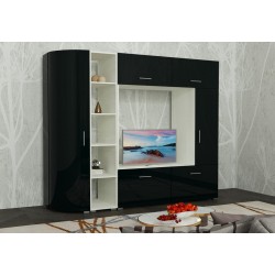 Радиолла 1 стенка с глянцевым фасадoм