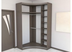 шкаф купе "Радион-Л" левый