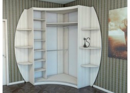 шкаф купе "Радион-П" правый