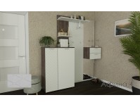 Афина 4 прихожая