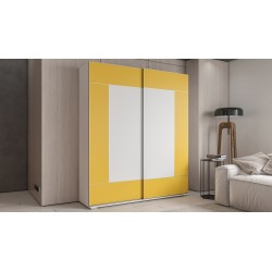 шкаф купе Аристо Нова 1 двухдверный