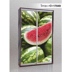 Шкаф купе Титан Ф 17049