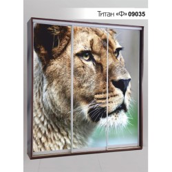 Шкаф купе Титан Ф 09035