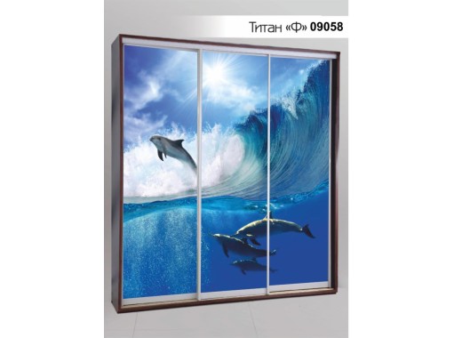 Шкаф купе Титан Ф 09058