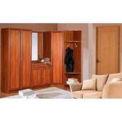 Салют 12 прихожая