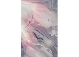 "Модус 8" шкаф купе с фотопечатью 39 200 Р. в Вира Мебель "Модус 8" шкаф купе с фотопечатью