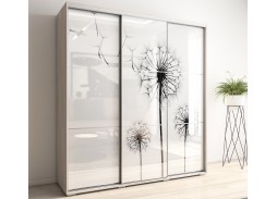 "Модус 15" шкаф купе с фотопечатью 49 450 Р. в Вира Мебель "Модус 15" шкаф купе с фотопечатью