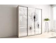 Модус 15 шкаф купе с фотопечатью