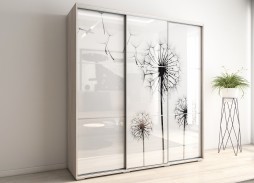 "Модус 15" шкаф купе с фотопечатью 49 450 Р. в Вира Мебель "Модус 15" шкаф купе с фотопечатью