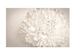 Стол обеденный "Бронкс" с фотопечатью 80*58/116 молочный/цветы 019/белый, ф-ка Система Мебели