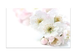 Стол обеденный "Бронкс" с фотопечатью 80*58/116 бетон/цветы 029/металлик, ф-ка Система Мебели