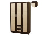 Шкаф распашной трёхдверный  Шкафыч 12