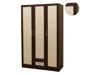 Шкаф распашной Шкафыч 13