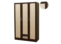 Шкаф распашной "Шкафыч 13"