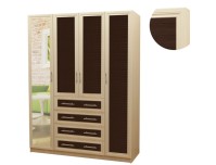 Шкаф распашной Шкафыч 22