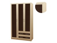 Шкаф распашной Шкафыч 23