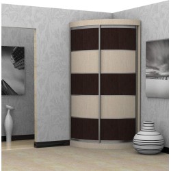  Радион 1  (вариант дверей №2) угловой шкаф купе