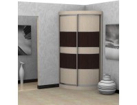 Радион 1  (вариант дверей №4) угловой шкаф купе