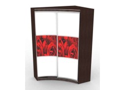 шкаф купе "Радион" радиусный