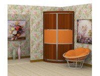 Радион 1 угловой шкаф купе