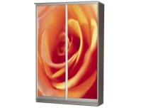 Легенда 5 шкаф купе с фотопечатью