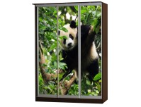 Легенда 2 шкаф купе с фотопечатью 3-х дверный