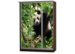 "Легенда 2" шкаф купе с фотопечатью 3-х дверный 44 950 Р. в Вира Мебель "Легенда 2" шкаф купе с фотопечатью 3-х дверный