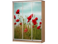 Легенда 8 шкаф купе с фотопечатью 3-х дверный