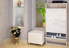 Глянцевые обувницы